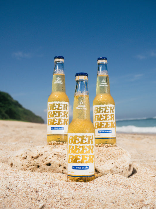 Ice Cold Lager | 4.9%