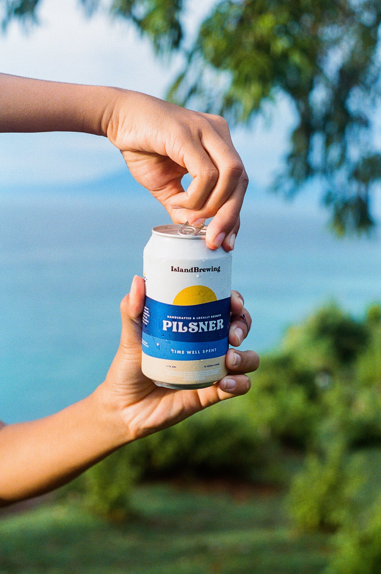 Pilsner | 4.2%