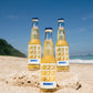 Ice Cold Lager | 4.9%