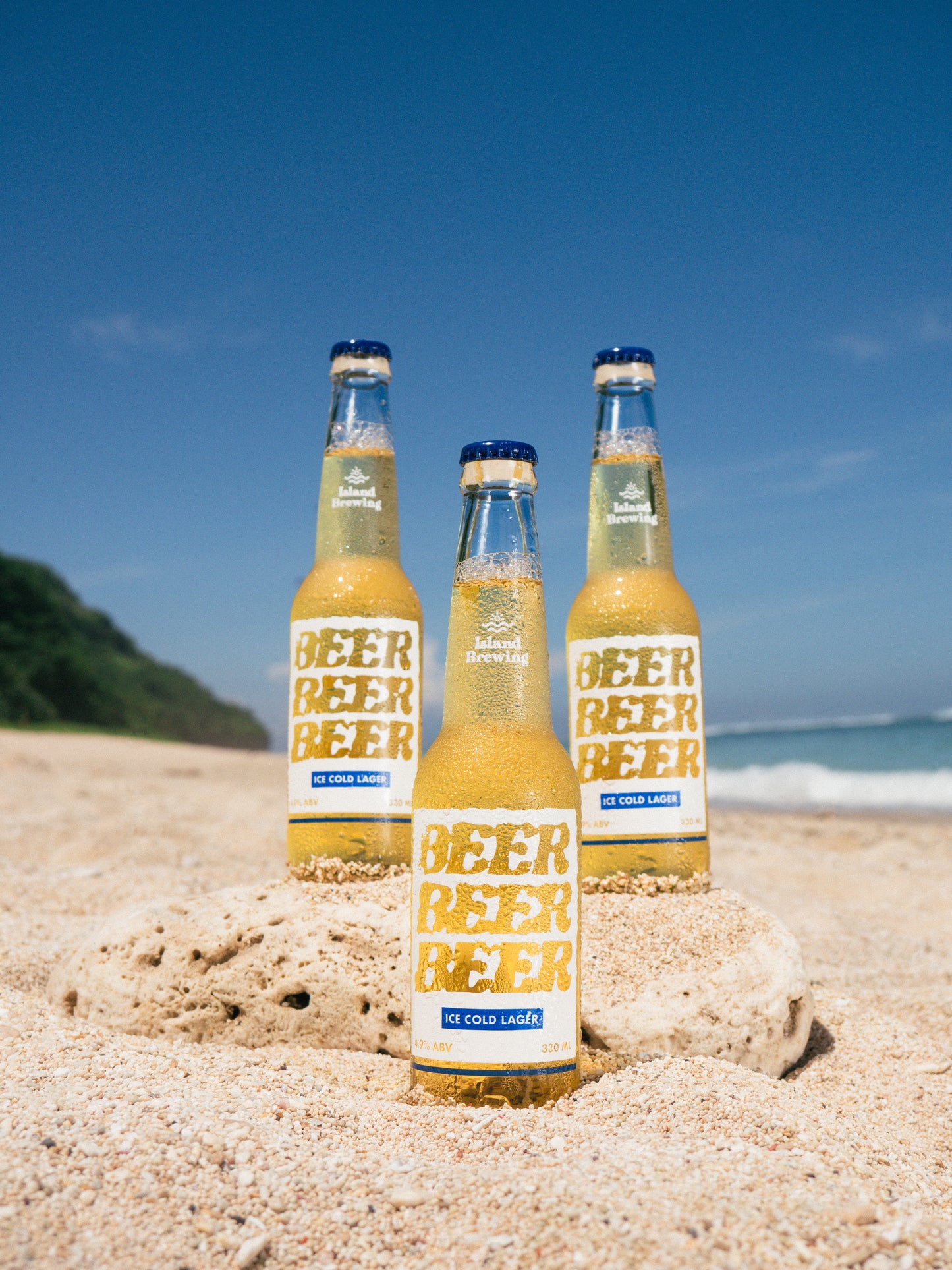 Ice Cold Lager | 4.9%